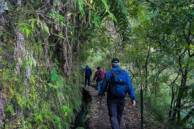 Caldeirão Verde Levada (PR 9) - Guided Madeira Levada Walk - Pickup, vans from Funchal, and what “small group” really means