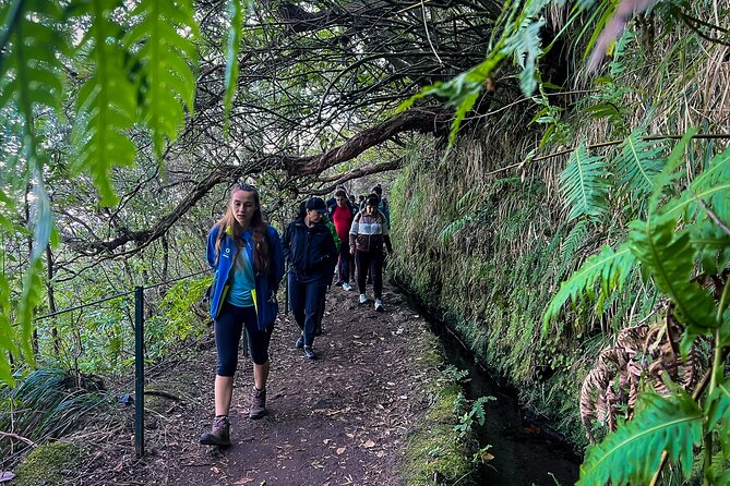 Caldeirão Verde Levada (PR 9) - Guided Madeira Levada Walk - Price and the €3 cash trail fee: where your money goes