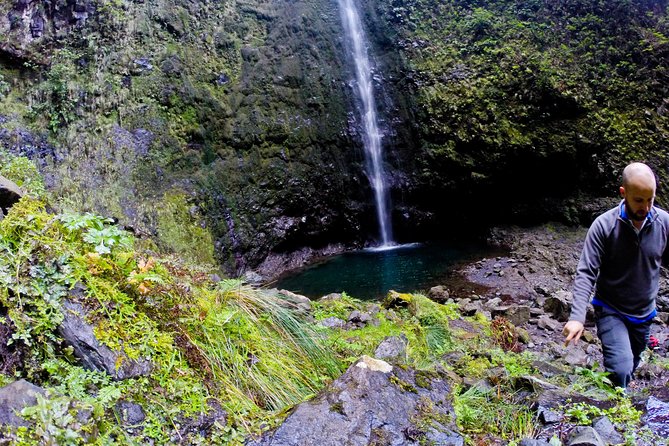 Caldeirão Verde Levada (PR 9) - Guided Madeira Levada Walk - Laurisilva Forest sections: the guide makes the forest click