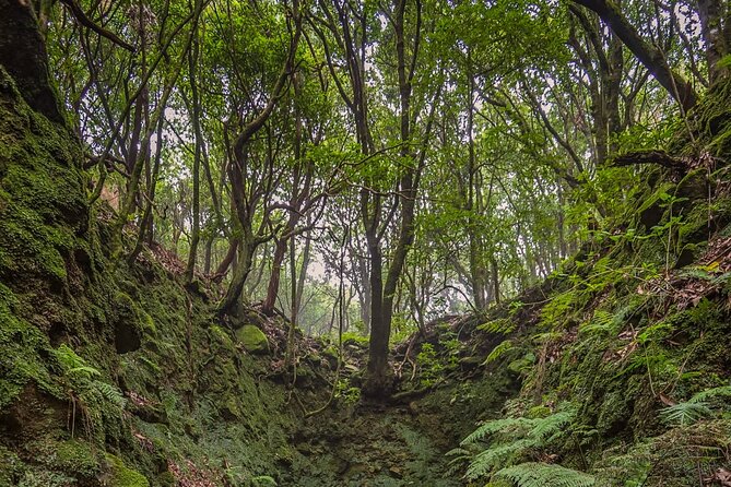 Caldeirão Verde Levadas Walk in Madeira - How the Caldeirão Verde levada walk feels in real life
