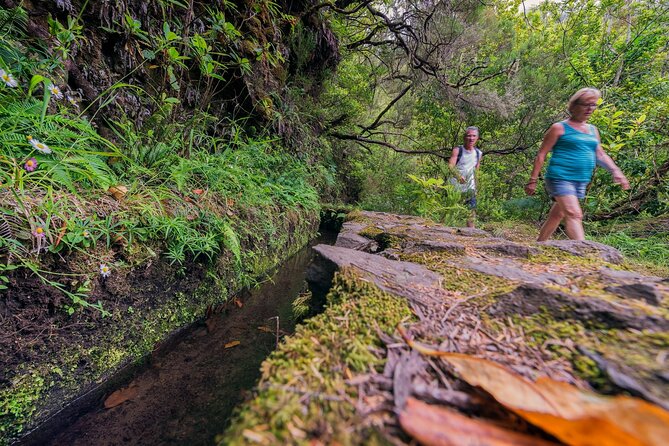 Caldeirão Verde Levadas Walk in Madeira - Tunnels, tight paths, and the best way to stay comfortable