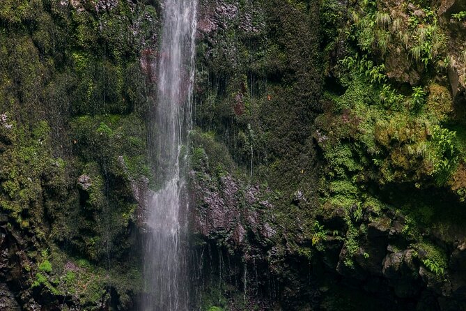 Caldeirão Verde Levadas Walk in Madeira - The guide experience, from conservation stories to safe pacing