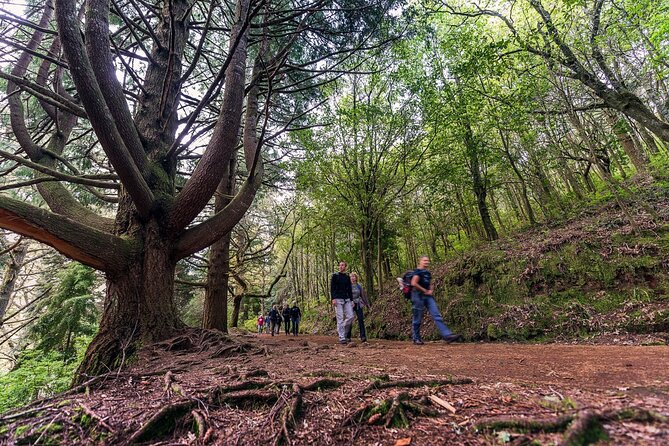 Caldeirão Verde Levadas Walk in Madeira - Clothing and gear: the stuff that saves the day