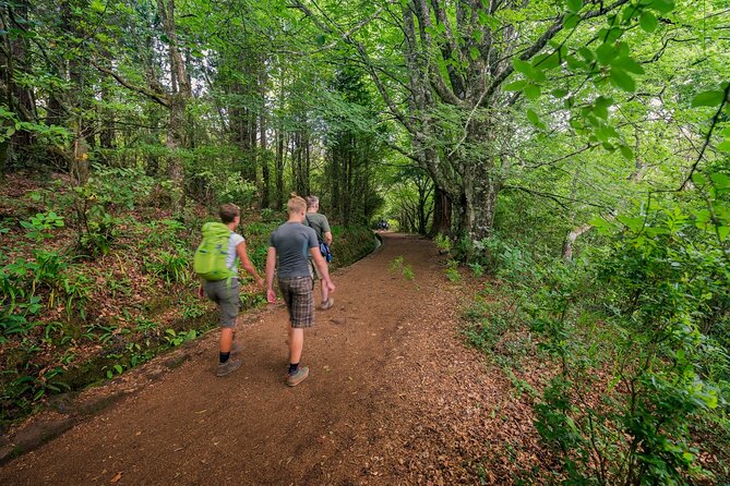 Caldeirão Verde Levadas Walk in Madeira - Your walking route and how the day typically runs