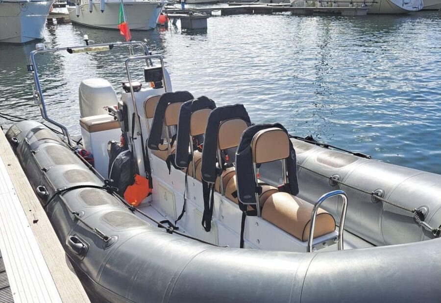 Calheta: Whale & dolphin watching small groups designer tour - Key things that make this tour work