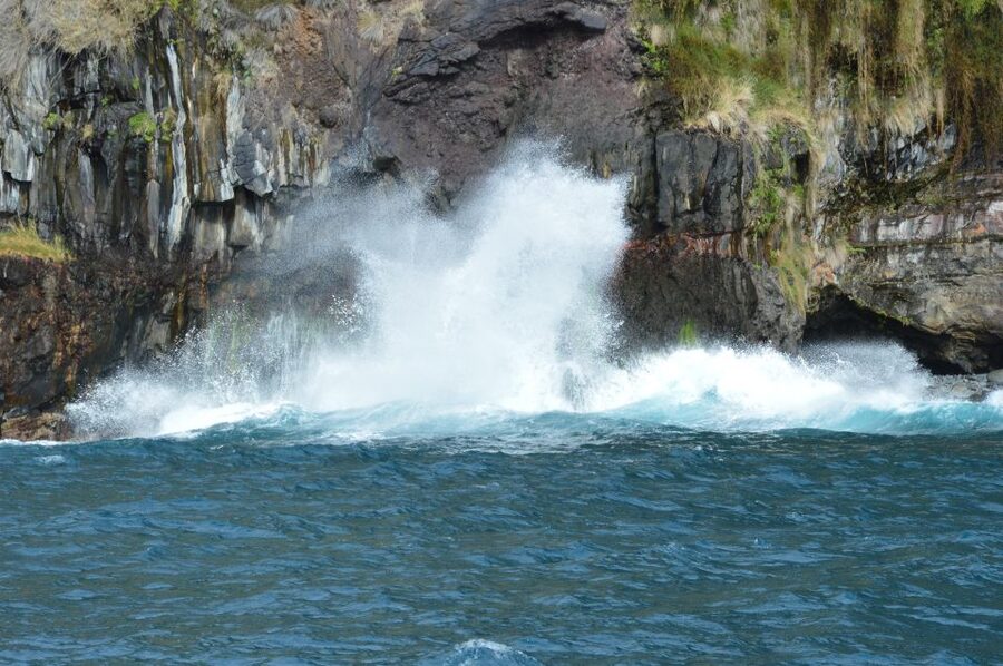 Calheta: Whale & dolphin watching small groups designer tour - Meeting At Marina da Calheta, Then Getting Out On The Water