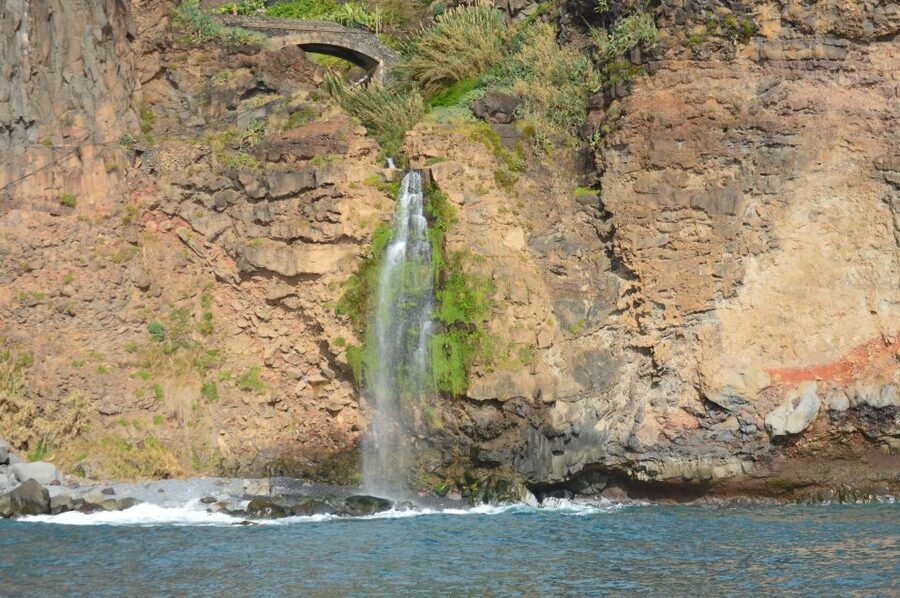 Calheta: Whale & dolphin watching small groups designer tour - Break Time, Then the Big Choice: Swim Or Snorkel