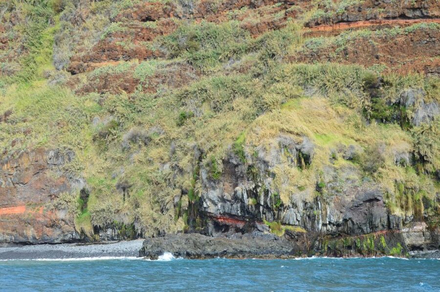 Calheta: Whale & dolphin watching small groups designer tour - Who This Tour Suits Best In Madeira