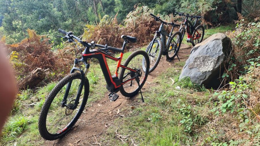 Camacha: Levada Trail e-Bike Guided Tour - Key things you will notice on this Camacha Levada e-Bike ride