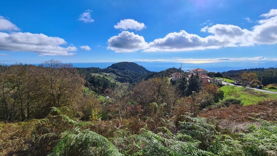 Camacha: Levada Trail e-Bike Guided Tour - Eucalyptus, then laurel forest near UNESCO, where the air changes