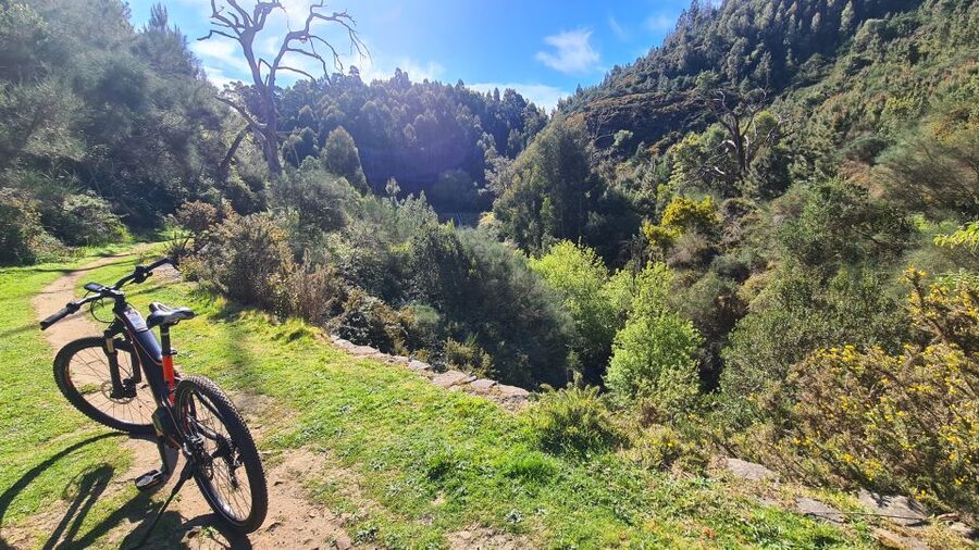 Camacha: Levada Trail e-Bike Guided Tour - The water mill rest stop, plus that odd tree pause