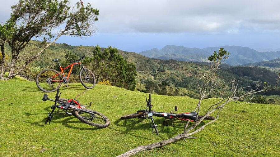 Camacha: Levada Trail e-Bike Guided Tour - Climbing toward Santo da Serra viewpoint and sheep sightings