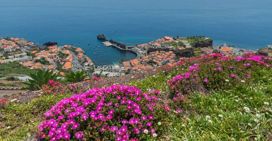 Câmara de Lobos: Private Fishing Village Tour by Tuk-Tuk - Key highlights you will actually use