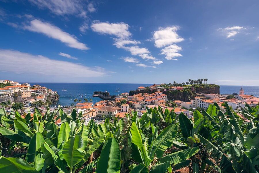 Câmara de Lobos: Private Fishing Village Tour by Tuk-Tuk - Why Câmara de Lobos works as a short, high-impact trip