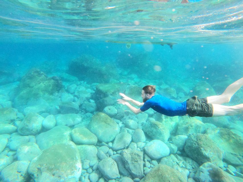 Câmara de Lobos: Private Guided Kayaking Tour in Madeira - Who This Kayak and Snorkeling Tour Fits Best