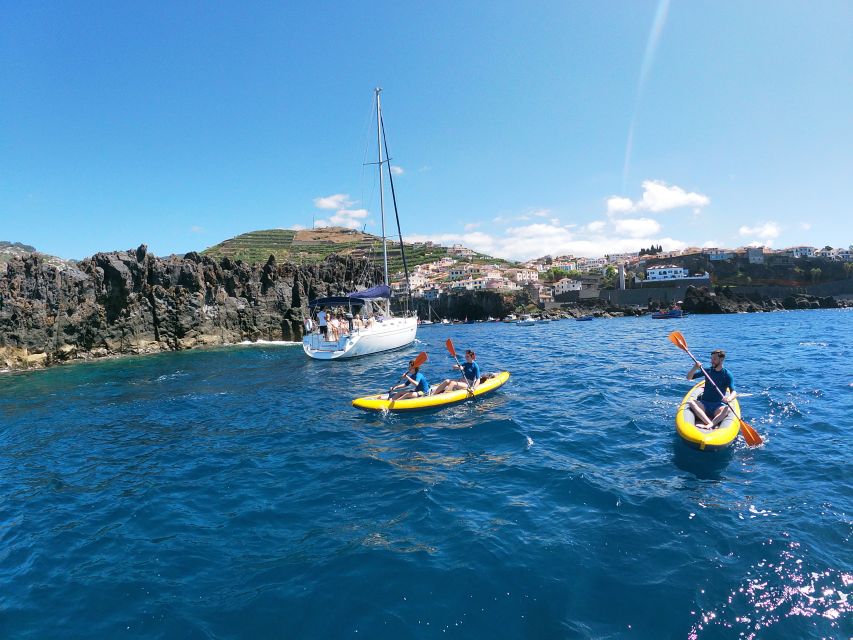 Câmara de Lobos: Private Guided Kayaking Tour in Madeira - Price in Context: Is This Worth $82?
