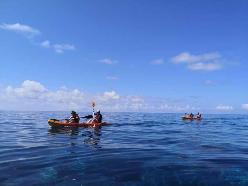 Caniço, Madeira: Marine Reserve Kayak & Snorkelling Tour - Who Should Book This, and Who Should Skip It