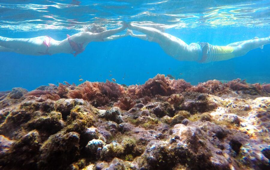 Caniço, Madeira: Marine Reserve Kayak & Snorkelling Tour - Kayaking Under Madeira’s Coast: Fun, Scenic, and Sometimes Shorter