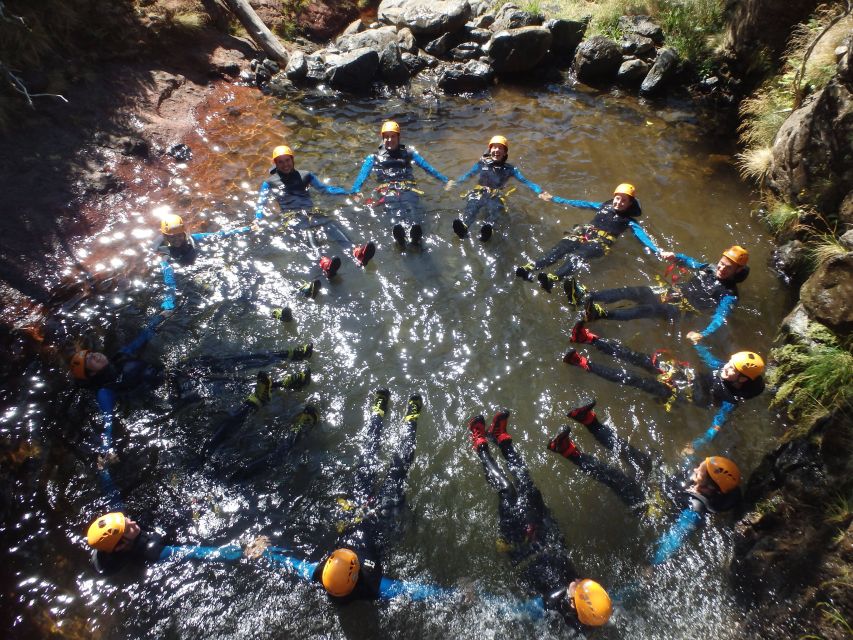 Canyoning in Madeira: Ideal for First-Timers and Families - The UNESCO Laurissilva Forest segment: where the day gets grounded