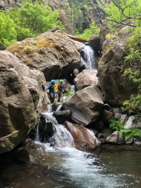 Canyoning Level 2 - Ribeira do Cidrão- Madeira Island - Key highlights you should care about