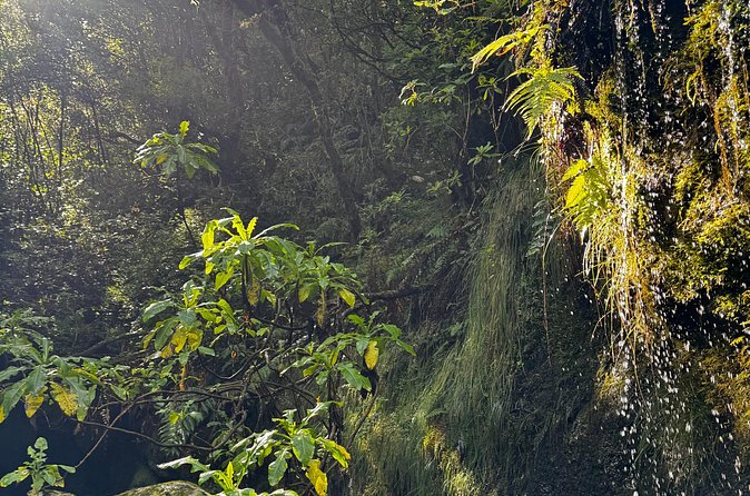Canyoning Madeira Intermediate - The Route Is Built for Intermediate Canyoning Skills