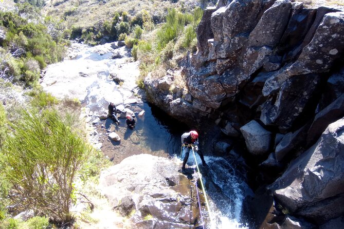 Canyoning Madeira Private/Small group tour - Key Highlights Worth Noting