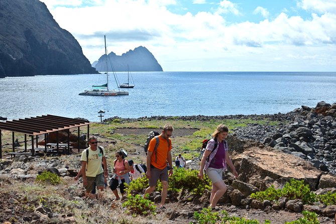 Catamaran Day Cruise to Desertas Islands from Funchal - Key things to know before you go