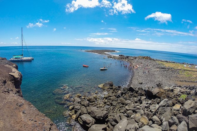Catamaran Day Cruise to Desertas Islands from Funchal - Wildlife sightings: how to read the day when nature does its own thing