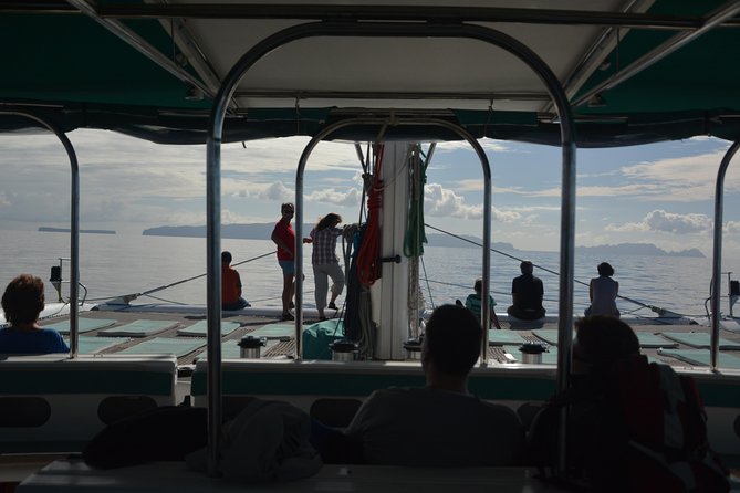 Catamaran Day Cruise to Desertas Islands from Funchal - Price and value: is $108.37 a fair deal?