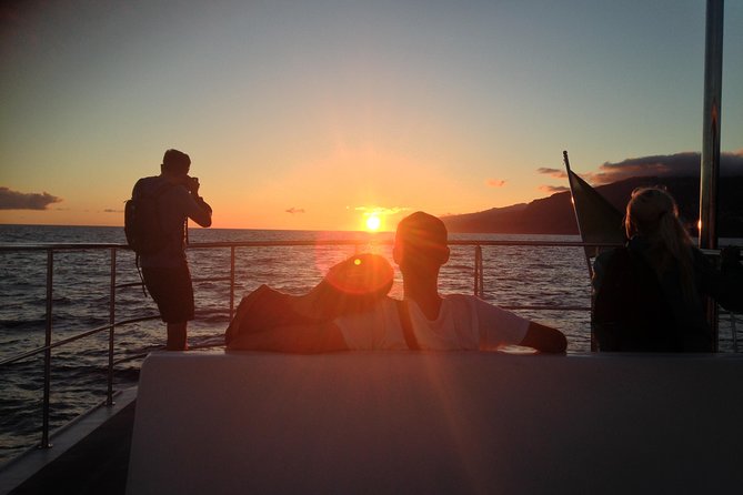 Catamaran Sunset Cruise from Funchal - Key points before you go