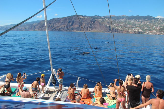 Catamaran Sunset Cruise from Funchal - Who this cruise is best for