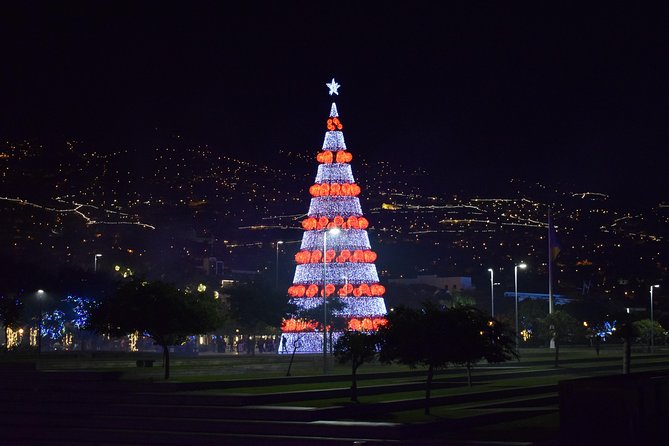 Christmas Lights Tukxi Tour (price per tukxi - up to 5 people) - Christmas Lights in Funchal, the Easy Way
