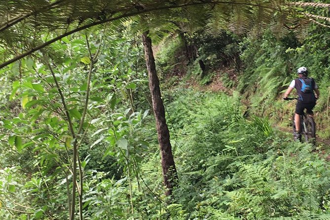 Cross Country - Moutain Bike Tour - Madeira cross-country MTB: what this tour feels like in real time