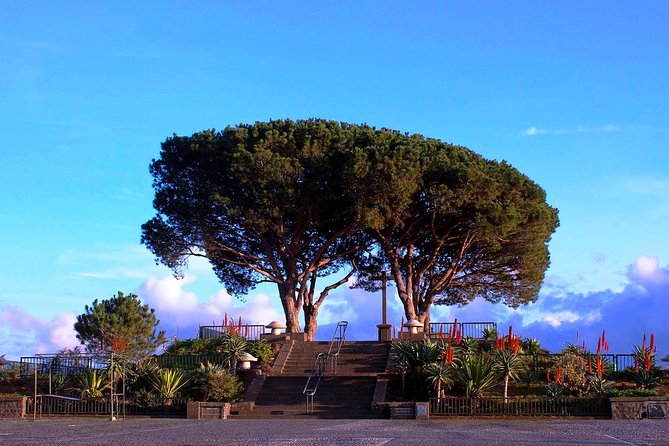 Curral das Freiras e Monte - Stop 1, Miradouro Pico dos Barcelos: The Quick Way to Read Funchal