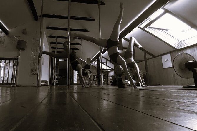 Dance Class (choose 1: Pole Dance, Burlesque or Aerial Silk/Hoop) - Instructors who make comfort and body acceptance part of the lesson