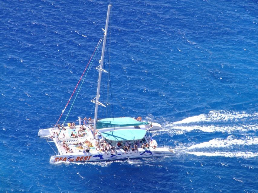 Desertas Islands Full-Day Catamaran Trip from Funchal - Wildlife sightings on the route back and forth