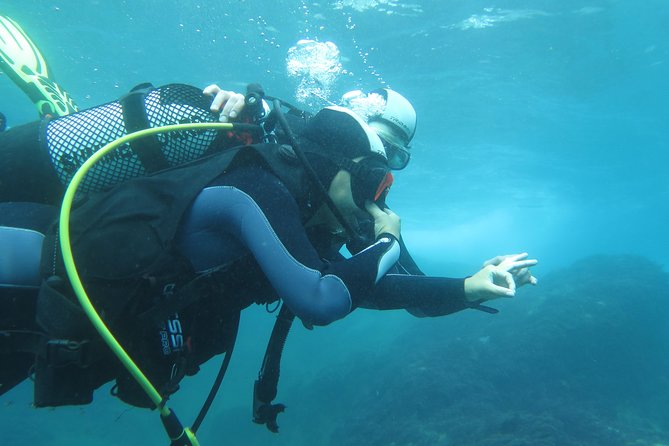 Discover Scuba Diving or Try dive - Shallow-water sea session: what you’ll do and what you’ll notice