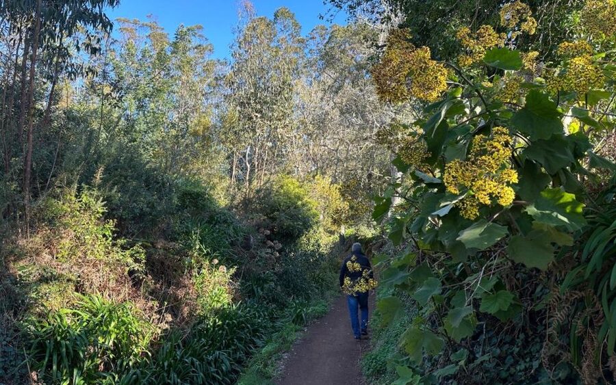 Discover the Paradise Valley - a quick escape for Everyone - Quick Hits Before You Go