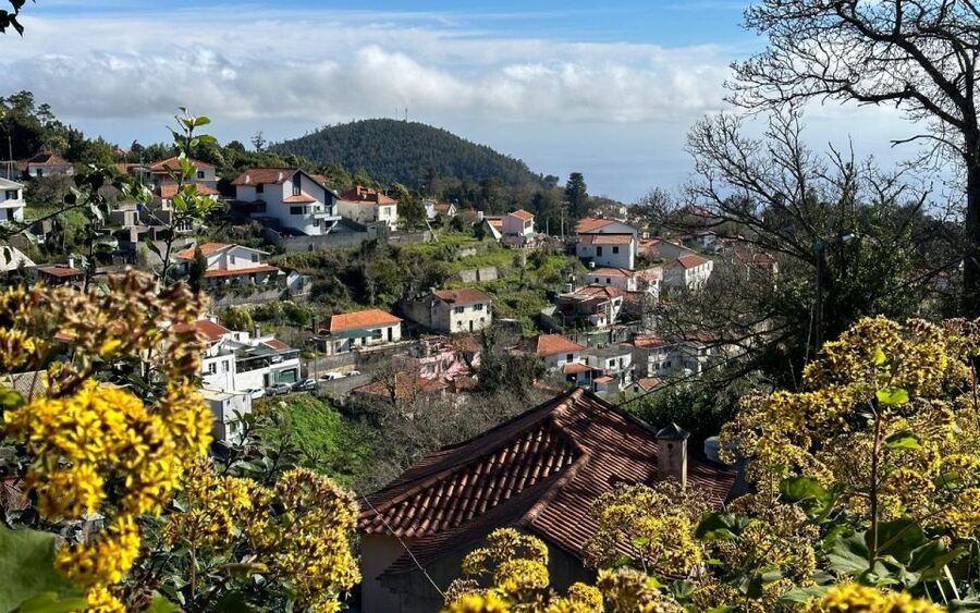 Discover the Paradise Valley - a quick escape for Everyone - Views Over Camacha: Slow Down When the Trail Opens Up