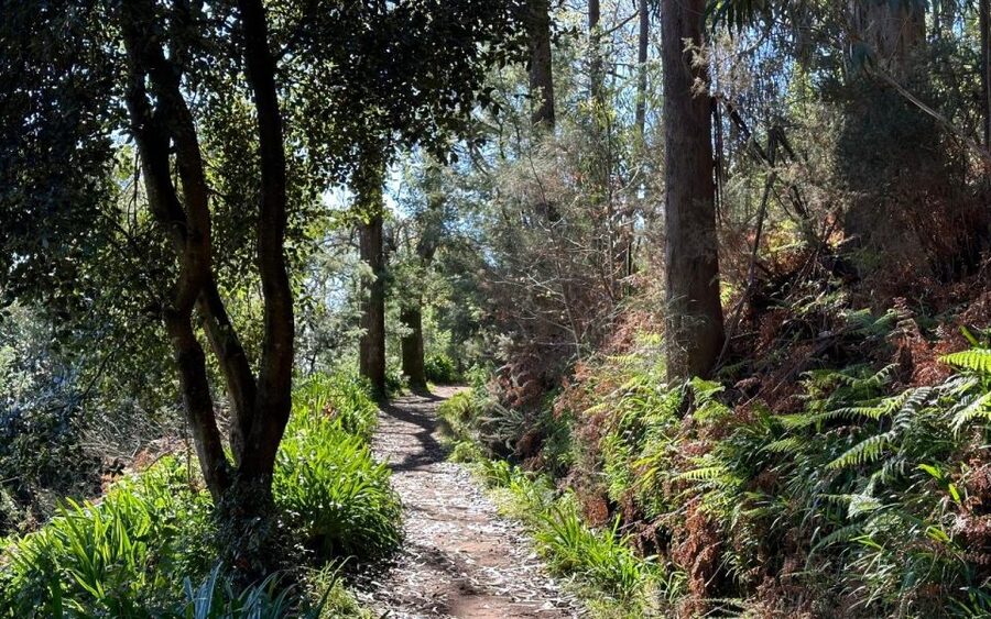 Discover the Paradise Valley - a quick escape for Everyone - The Price, and Why $35 Feels Fair for 2.5 Hours