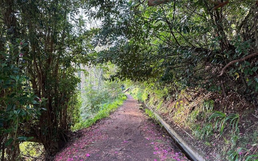 Discover the Paradise Valley - a quick escape for Everyone - Best For: First-Timers, Plant Lovers, and Easy-Pace Walkers