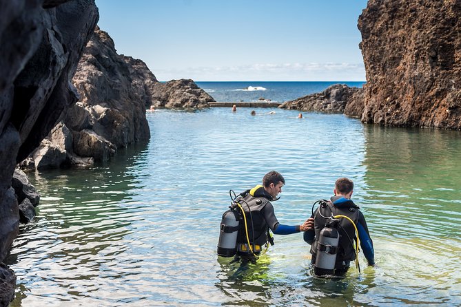 Diving in the Madeira Aquarium - The “Do I Really Have to Know Scuba?” Training Style