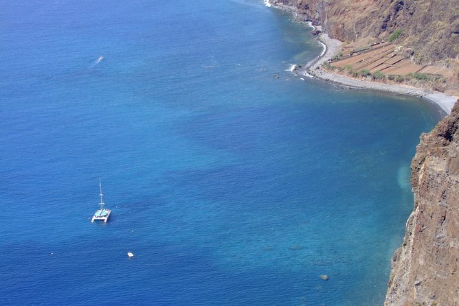 Dolphin and Whale Watching Catamaran Cruise from Funchal - The Crew’s Species Info and On-Board Style