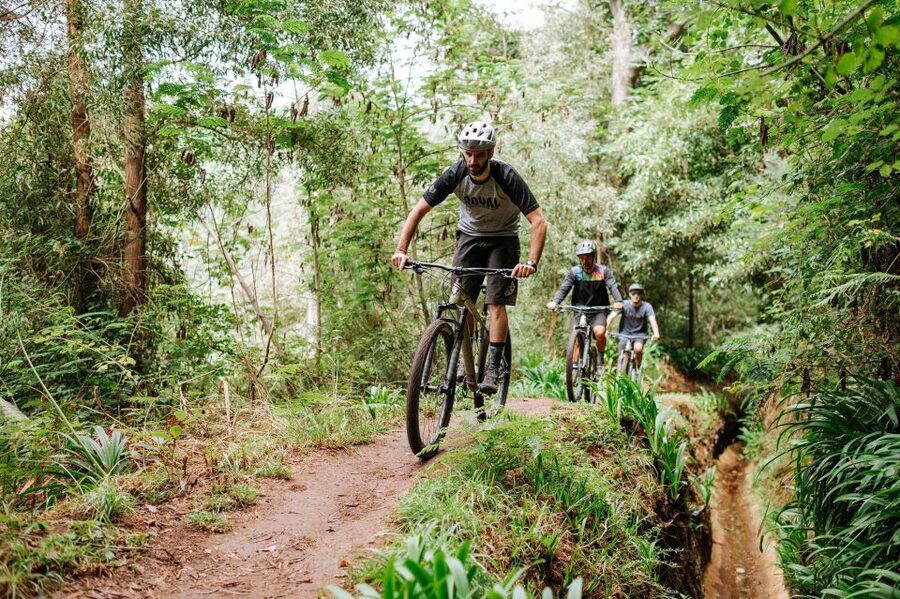 E-Bike Guided Tour - Mountain biking experience - Quick hits for the Camacha e-bike mountain tour