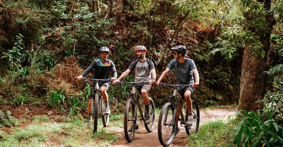 E-Bike Guided Tour - Mountain biking experience - E-bike mountain biking from Camacha, made for real trails