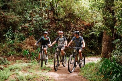 E-Bike Guided Tour – Mountain biking experience