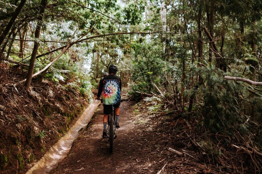 E-Bike Guided Tour - West Side Mountain Biking - E-Bikes, Mountain Bikes, and Why This Works for Beginners