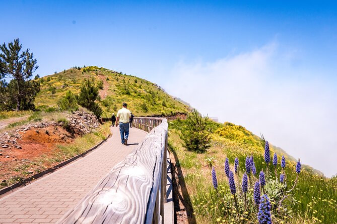 East Madeira 4x4 Jeep Tour with Local Guide - East Madeira by 4x4: what this day is really like