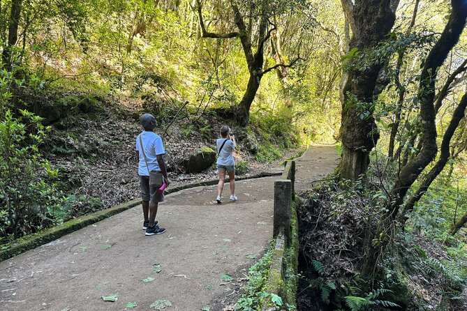 EAST: Pico do Arieiro & Laurissilva Forest - Full Day tour - Santana: A-frame triangular farm houses and the shapes of island life