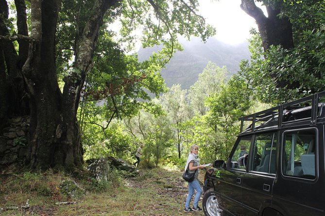 East Tour - 4x4 - Small Group - Ribeiro Frio, Balcões viewpoints, and the levada-style valley feeling